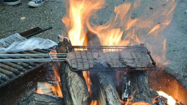 Camping in Eastern Illinois: Wolf Creek State Park - Outdoors with Bear