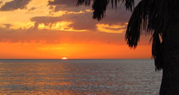Honeymoon Island State Park Sunset