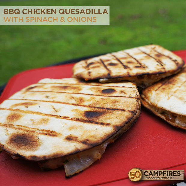 chicken quesadilla