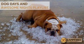Dog Days and Awesome Nights Playlist