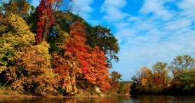 destinations to see fall color