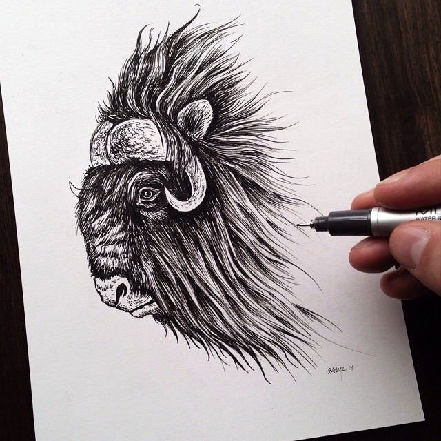 sam larson steel bison