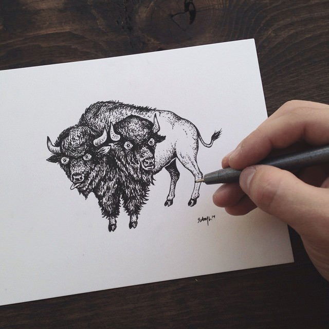 sam larson steel bison