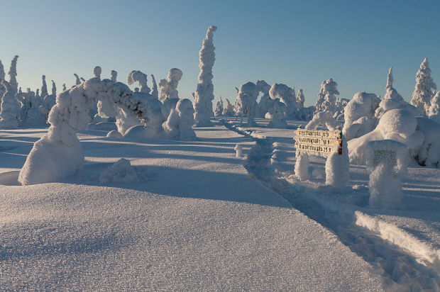 photo credit: Tobias Domhan