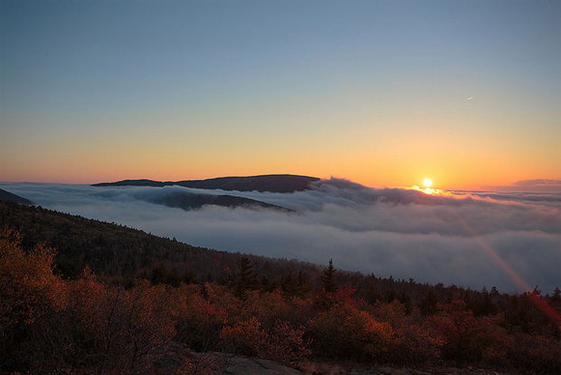 acadianps