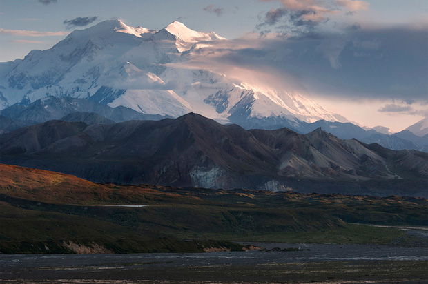 denalinps
