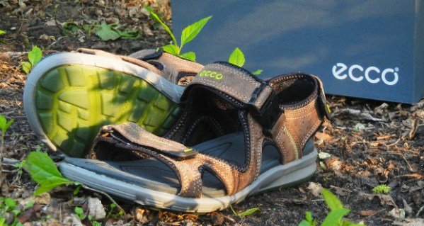 Ecco Cruise Sandal review