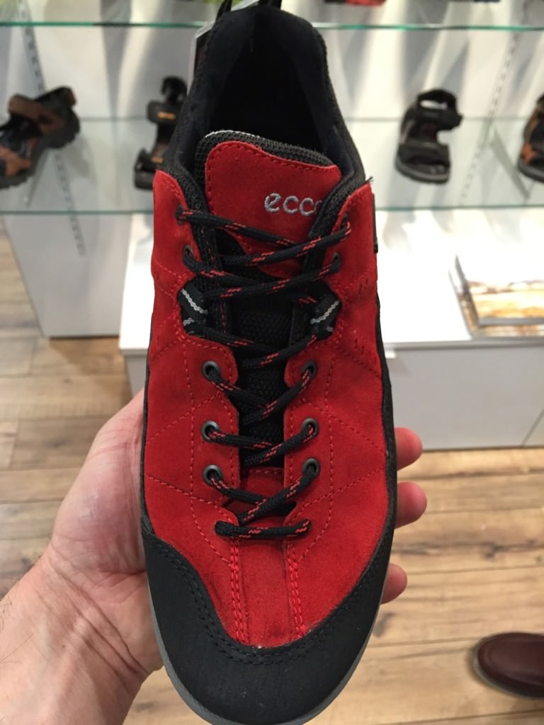 Ecco best sale receptor 2015