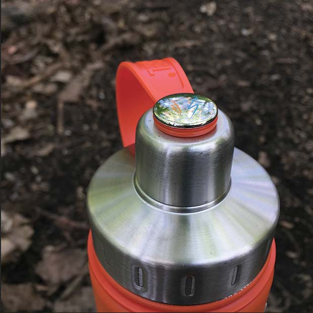 Insulated Water Bottle