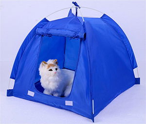Pop up Tents and Cabanas