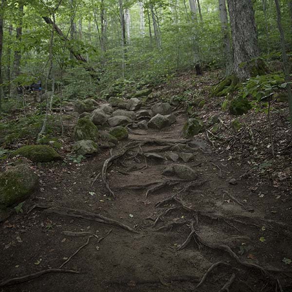 an easily accessible, welcoming stretch of the Appalachian Trail in New Hampshire