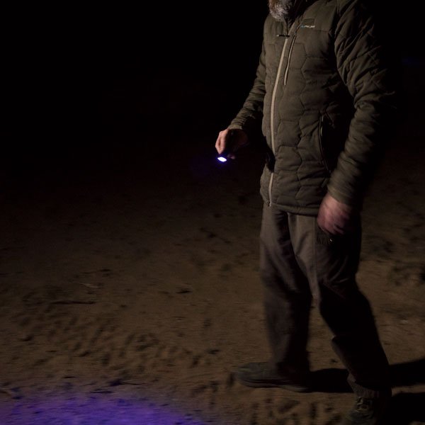Skælde ud arrestordre Fascinate COAST PX100 UV Flashlight Review - Outdoors with Bear Grylls
