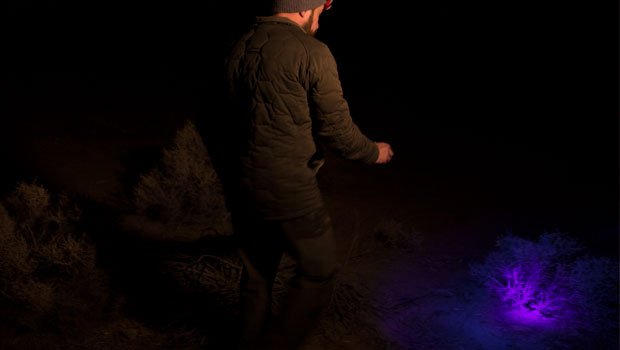 COAST Flashlight Review Outdoors with Bear Grylls