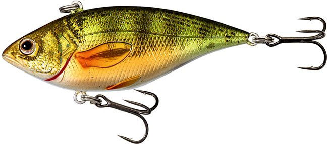 LIVETARGET Golden Shiner