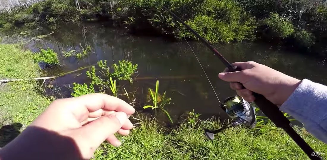 Fisherman Catches Tons of Fish in Small Canal Off Florida Highway -  Outdoors with Bear Grylls