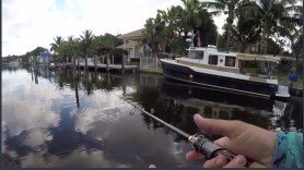 tarpon_canal_fishing