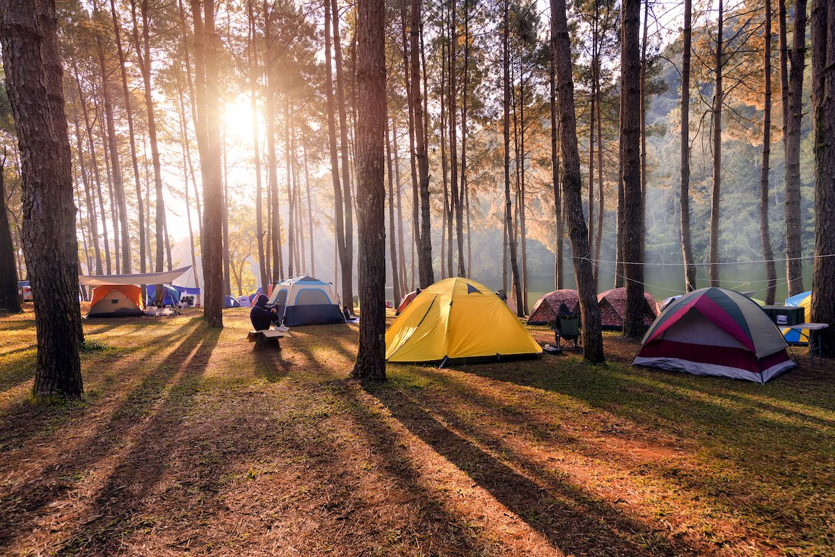 Leeg de prullenbak Afwijzen robot Camping Tips: Yes, You Can Rent a Tent - Outdoors with Bear Grylls