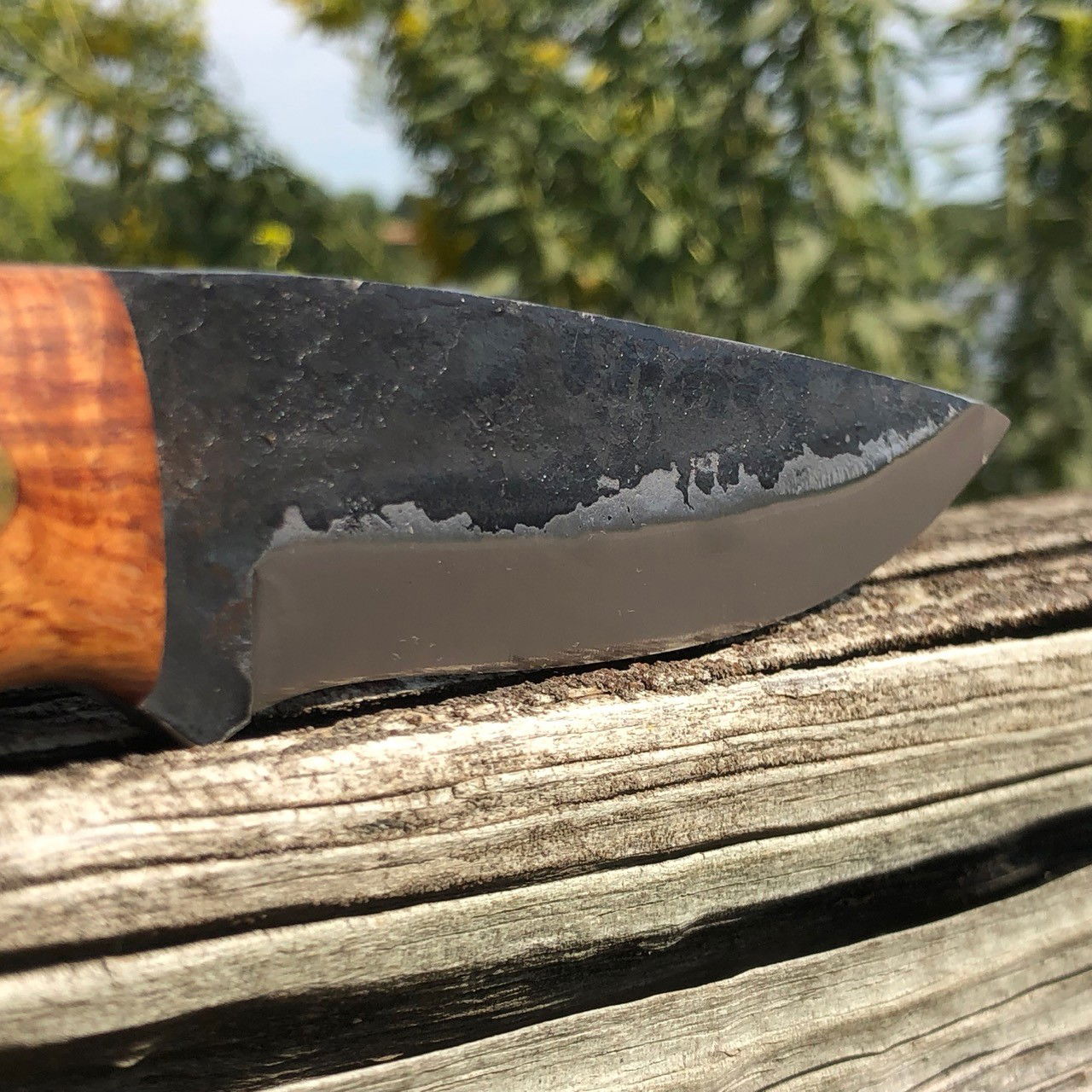 The Coalatree Haswell Survival Knife Is Back - Outdoors with Bear