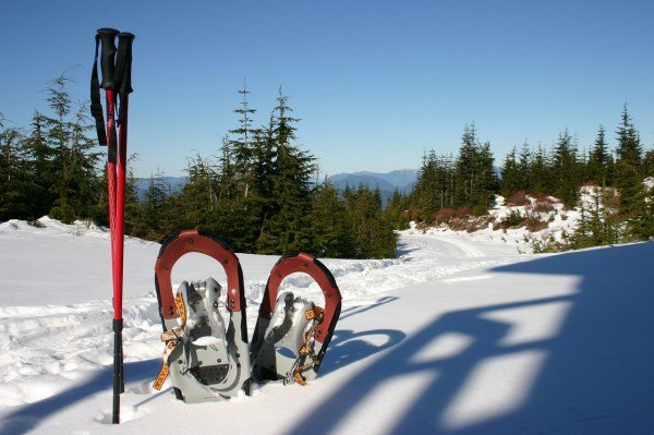 how to start snowshoeing