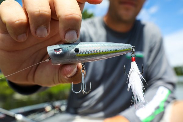 spro bass fishing lures