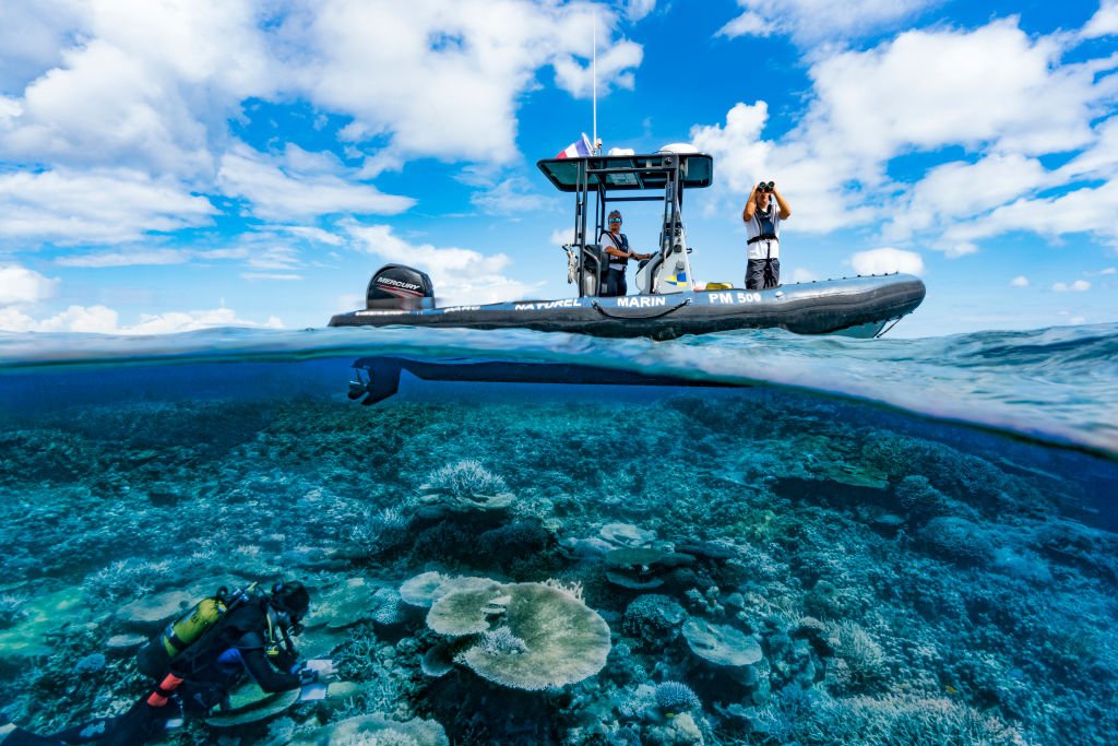 MAYOTTE, INDIAN OCEAN - NOVEMBER 2017: Diver from the Mayotte Marine Natural Park carry out a survey on the reef, called REEFCHECK, on November 27, 2017, Mayotte, Comoros archipelago, Indian Ocean. This scientific program makes it possible to assess the state of health of the coral reefs in the lagoon. (Photo by Alexis Rosenfeld/Getty Images)