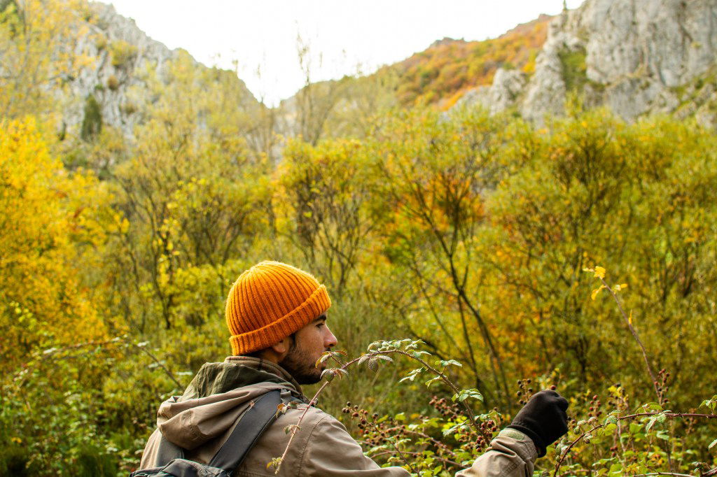 Bear Grylls' Secrets for Surviving in the Temperate Zone, Man Vs. Wild