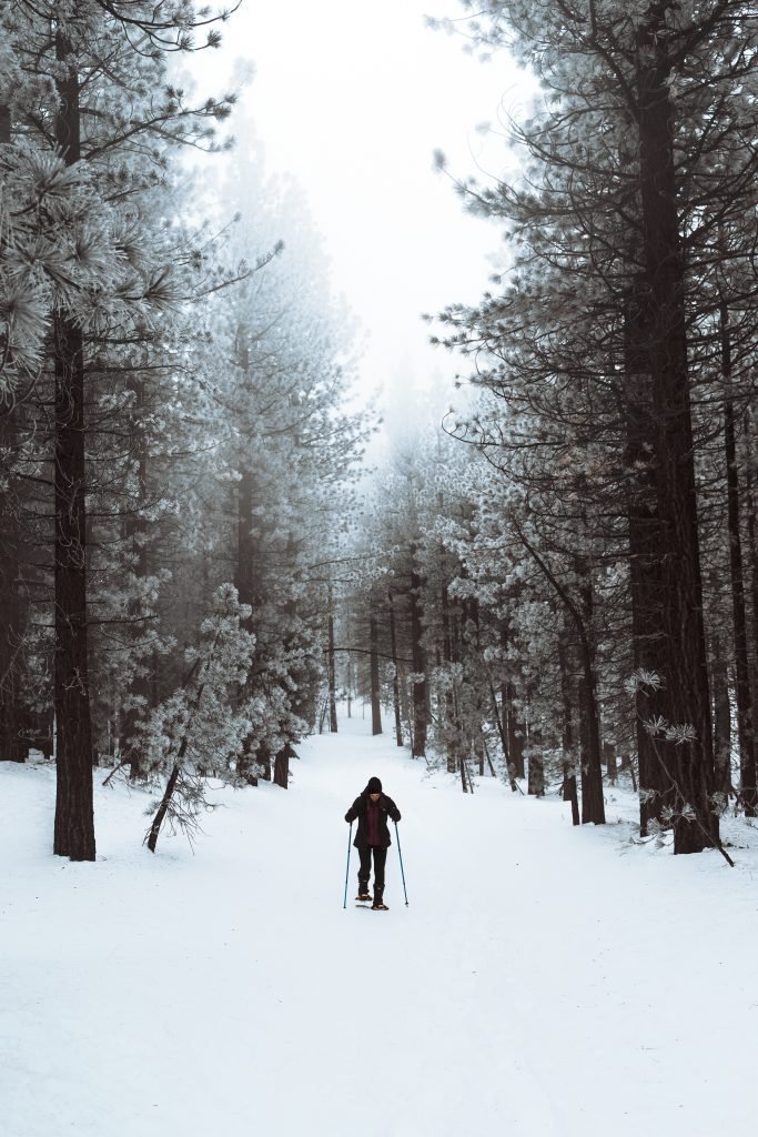 how to start snowshoeing