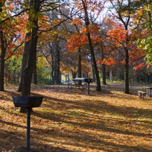 Camp ground in the fall