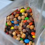 easy to make camping trail mix