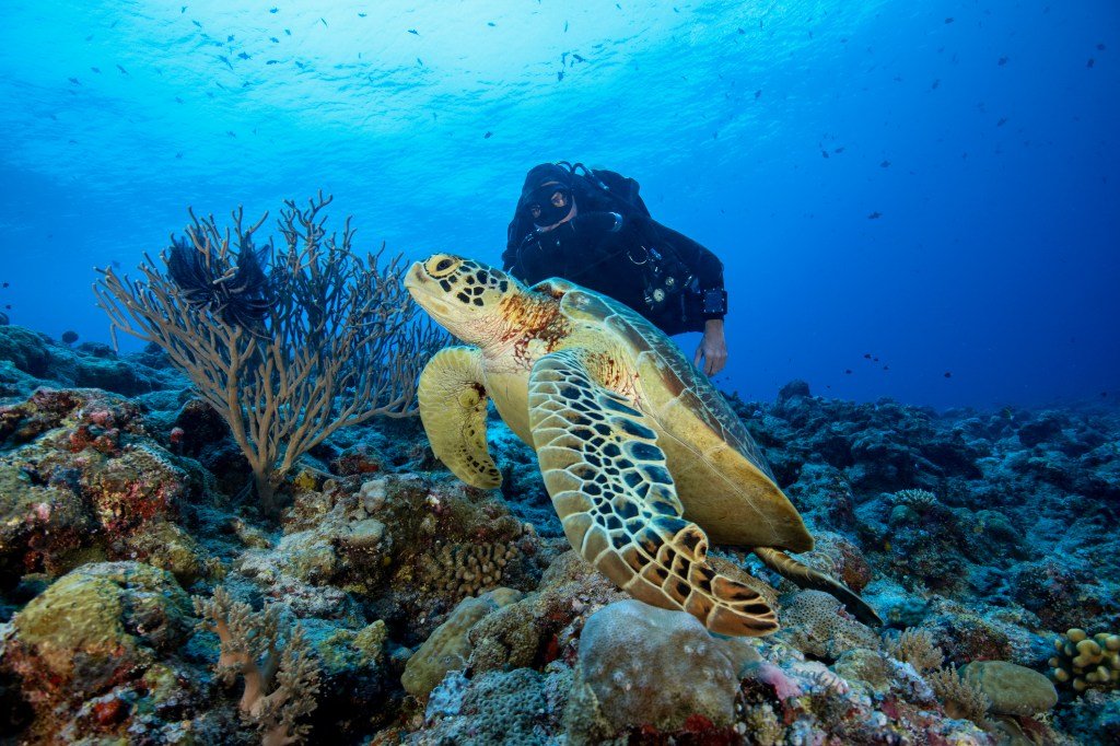 The best places to scuba dive on Earth