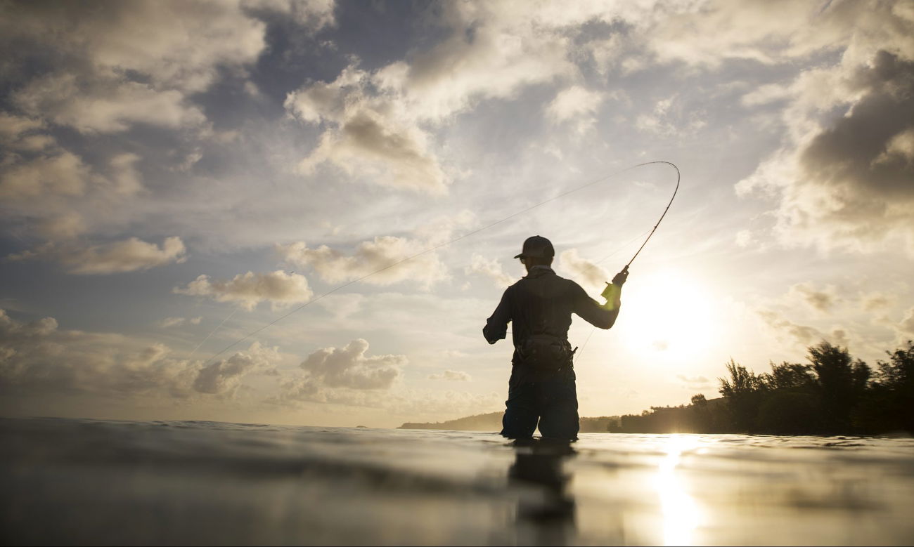 Shore fishing these monsters is just insane! It feels quite