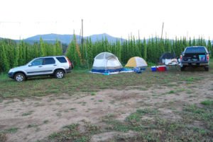 Highwire Hop field camping