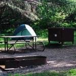 Mathews Arm Campground