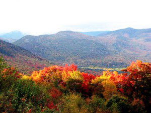 Fall Foliage