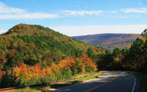 Fall Foliage