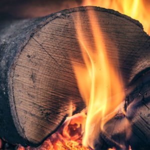 50 Campfires Ultimate Guide To Firewood