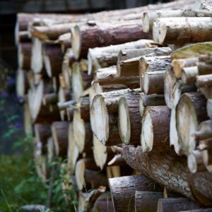Use Your Senses To Select Firewood