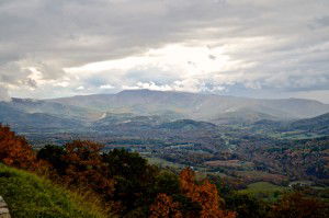 Fall Foliage