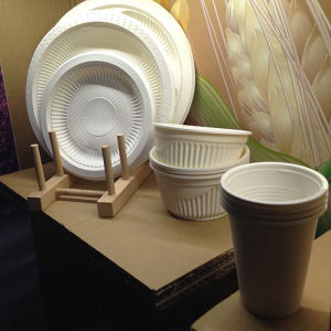 ecosoulife 140 piece disposable set