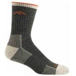 product shot of Darn Tough Men's Hiker Micro Crew Cushion Sock against white background