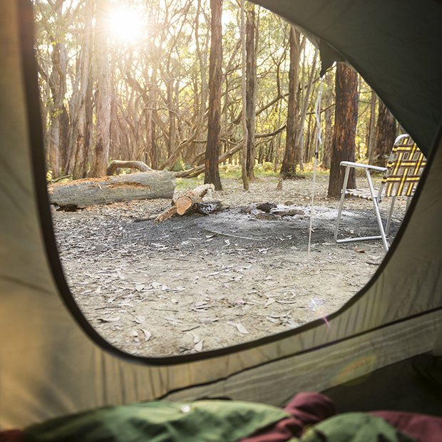 tips for dispersed camping