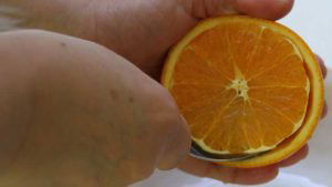 Scooping the fruit out of an orange half to make campfire birthday cake cupcakes in citrus halves.