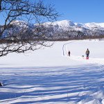 Outdoor Activities: Skijoring