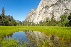 Yosemite Valley flooding