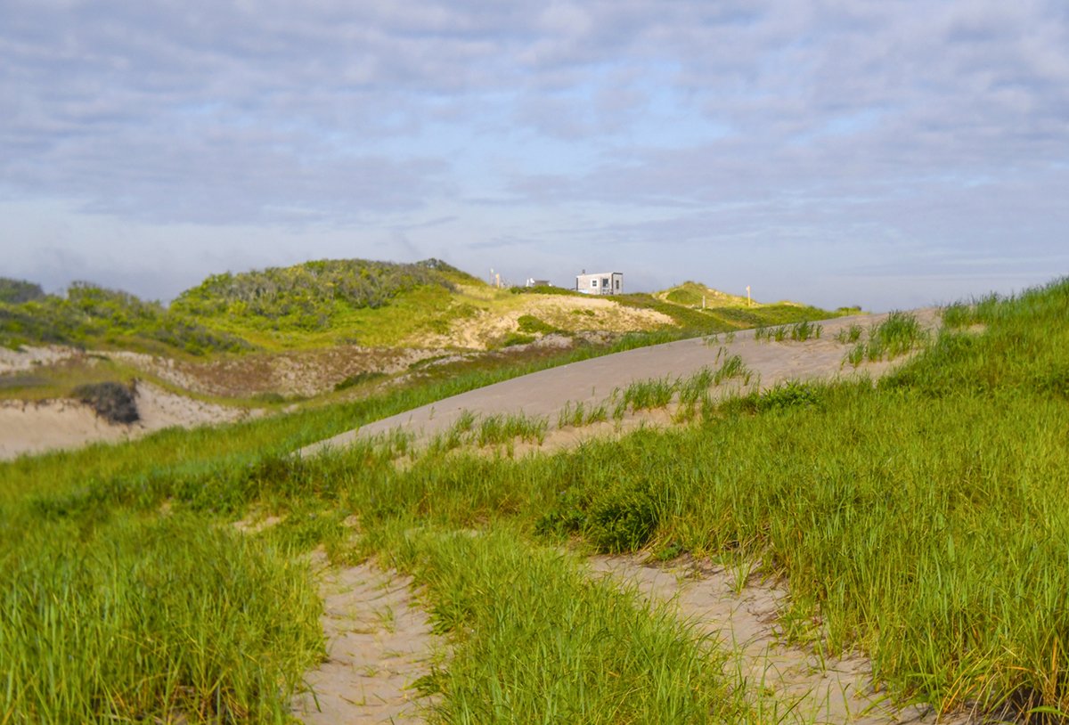 live-in-cape-cod-sand-dunes