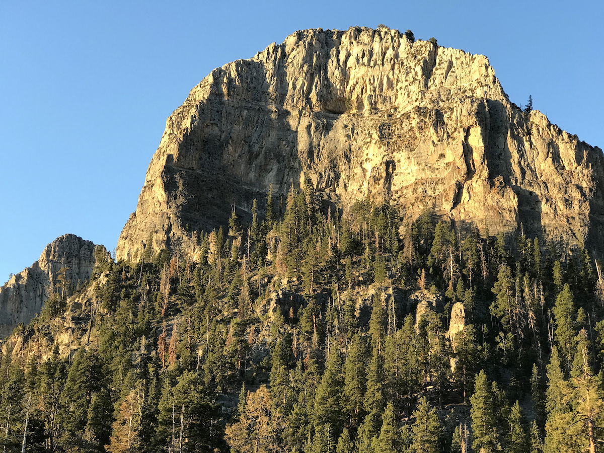 Cathedral Rock