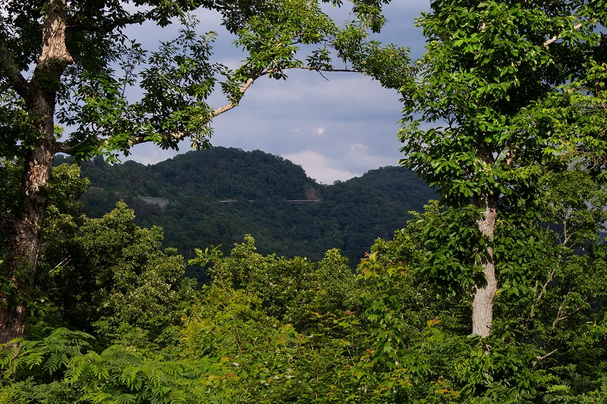 Take a Tour of Tennessee, Dolly Parton-Style - Outdoors with Bear Grylls