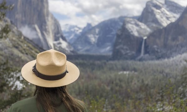 the-best-tweets-from-the-national-park-service