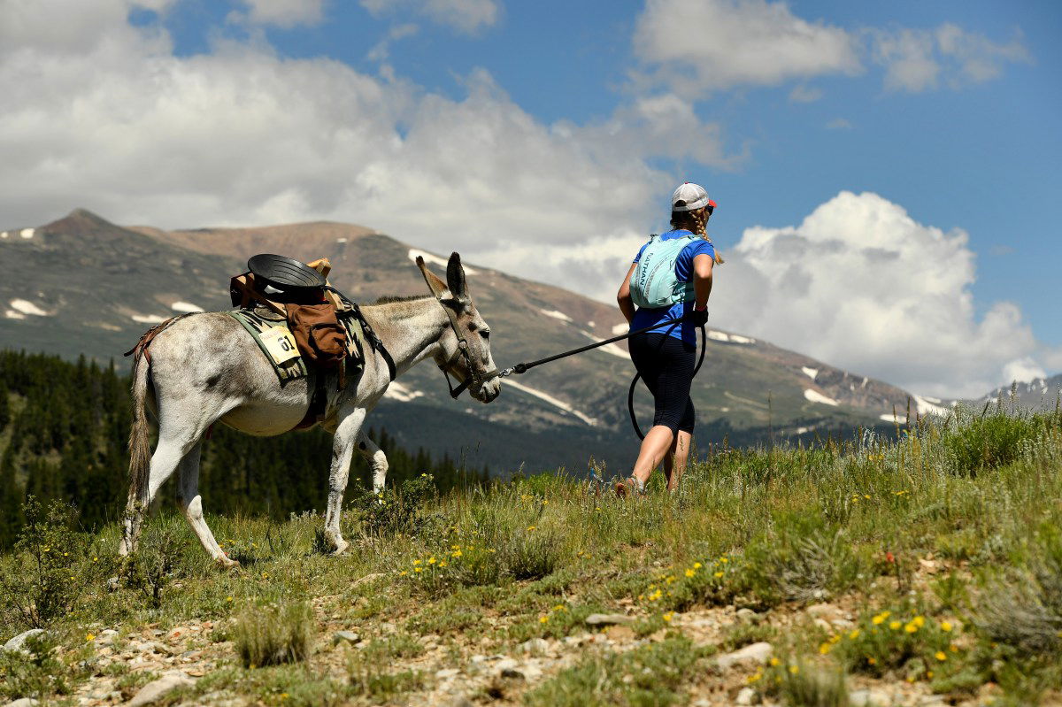 71st annual Burro Days and Burro Pack race