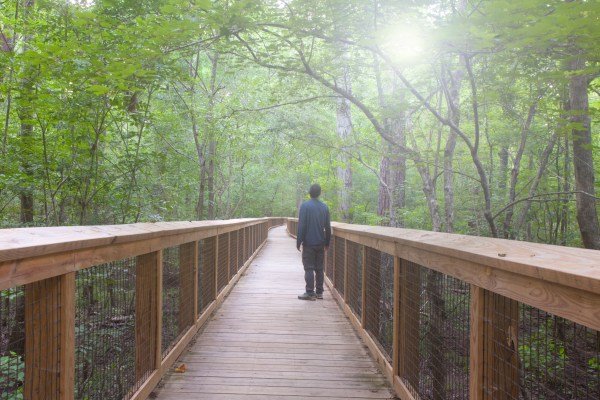 Hiker in Congaree National Park